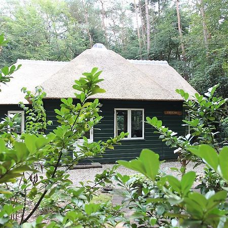 Vakantiehuis 'T Musje Epe Rum bild