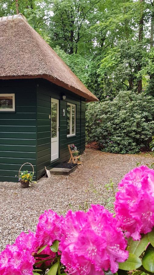 Vakantiehuis 'T Musje Epe Exteriör bild