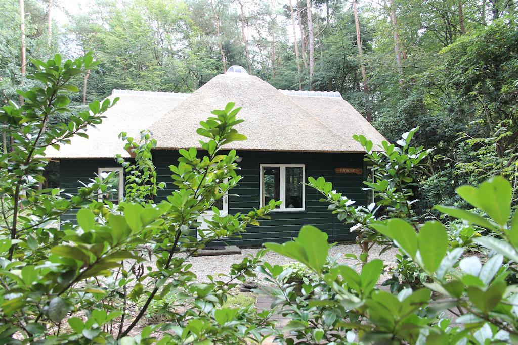 Vakantiehuis 'T Musje Epe Rum bild